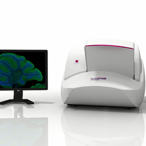 Rx Whole Slide Imaging
