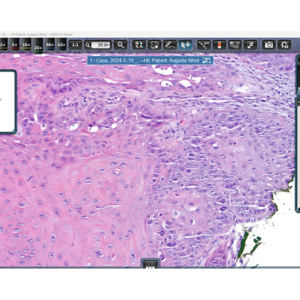 Dx Whole Slide Imaging