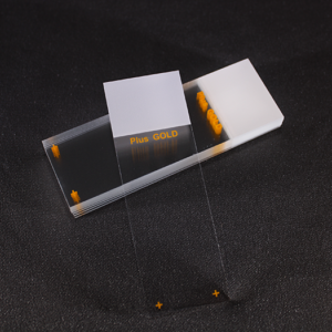 Superfrost PLUS Gold Slides