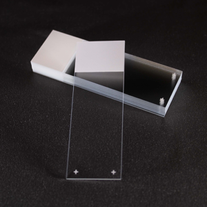 Superfrost PLUS Slides